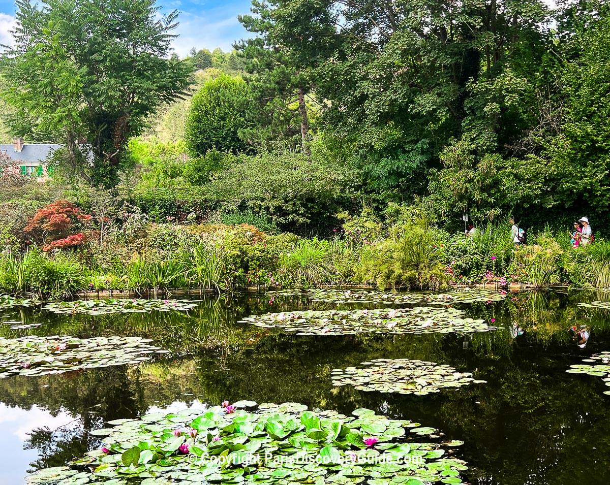 Water lilies in the pond at Monet's home in Giverny