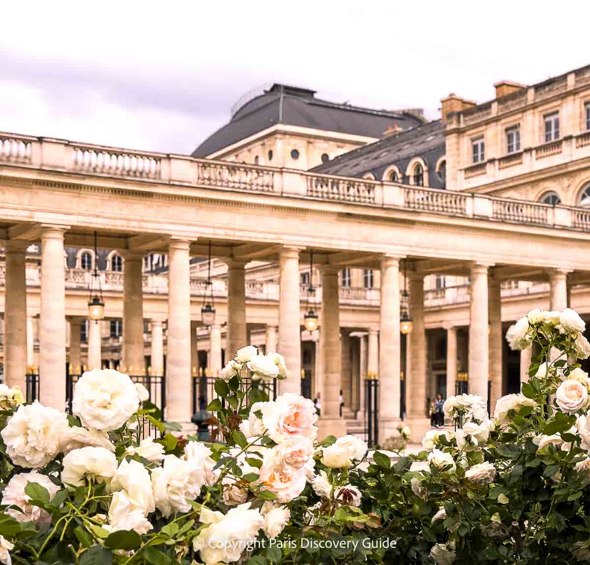 White and pink roses near Palais Royal Garden's colonnades in June