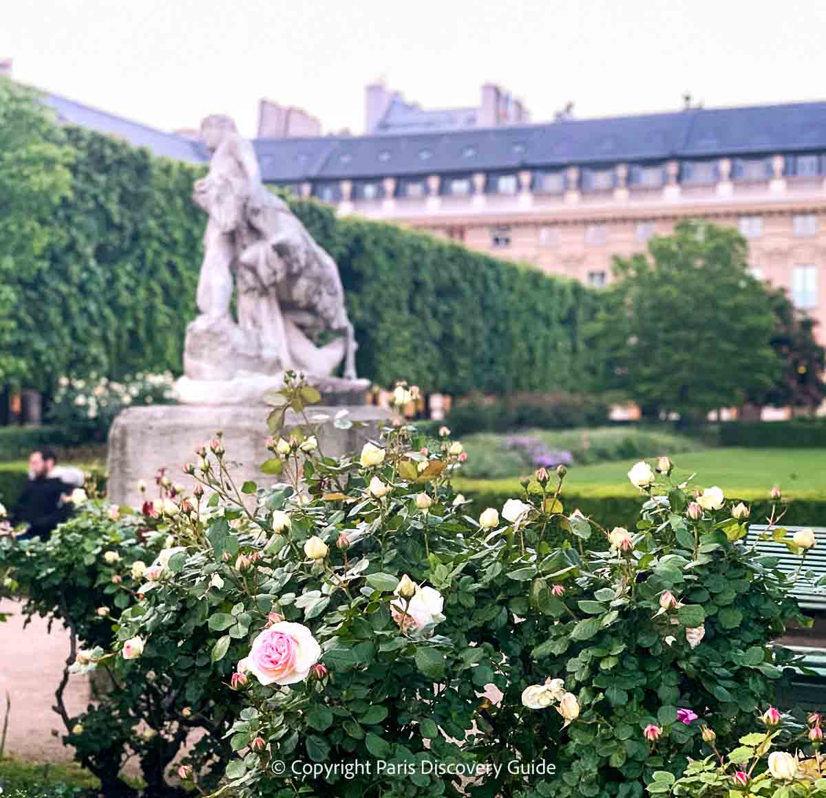 White and pink roses near Palais Royal Garden's colonnades in June White and pink roses near Palais Royal Garden's colonnades in June