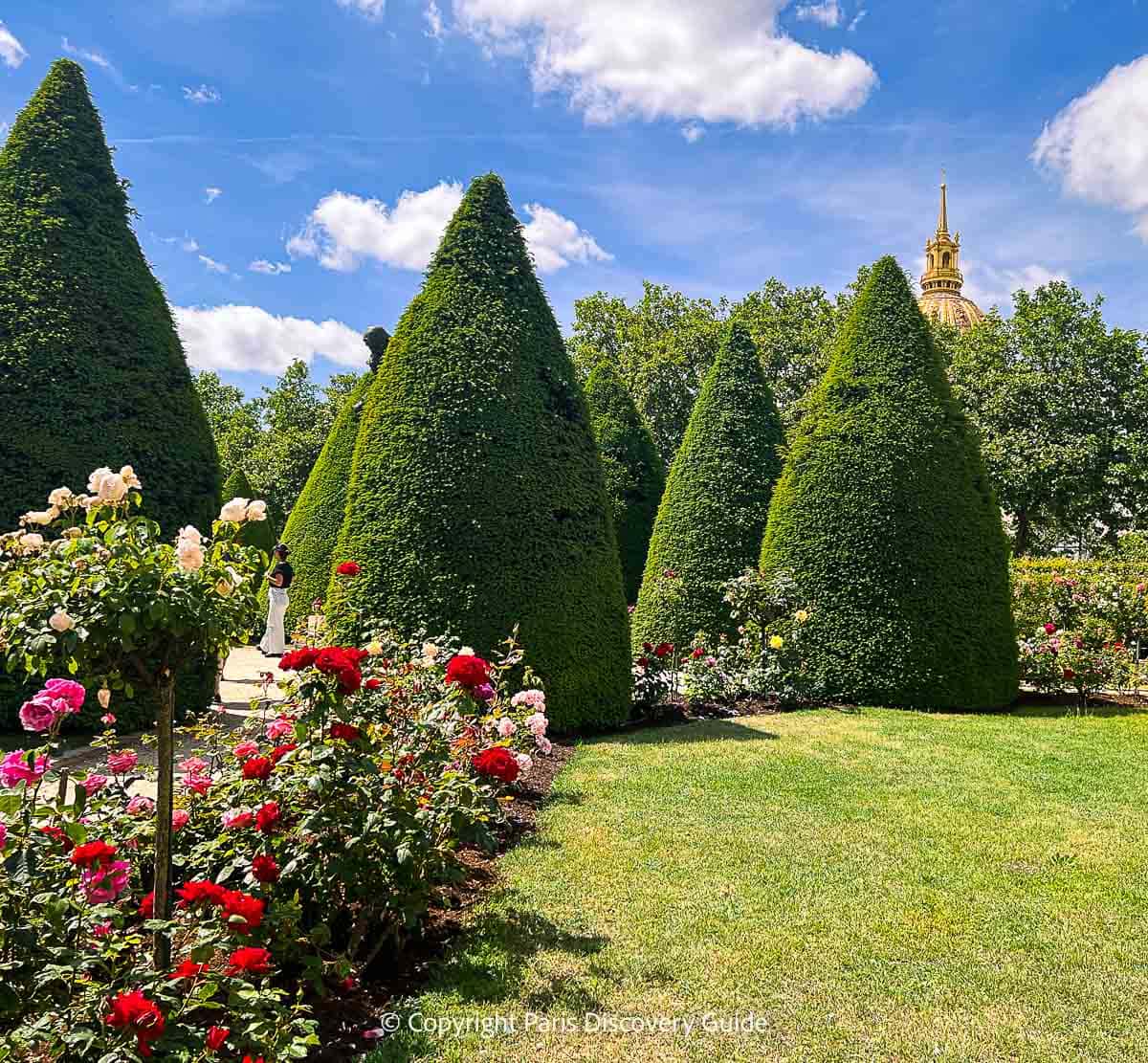 Roses and conical yews in the Rodin Museum Garden with a bit of the Invalides dome in the background Roses and conical yews in the Rodin Museum Garden with a bit of the Invalides dome in the background