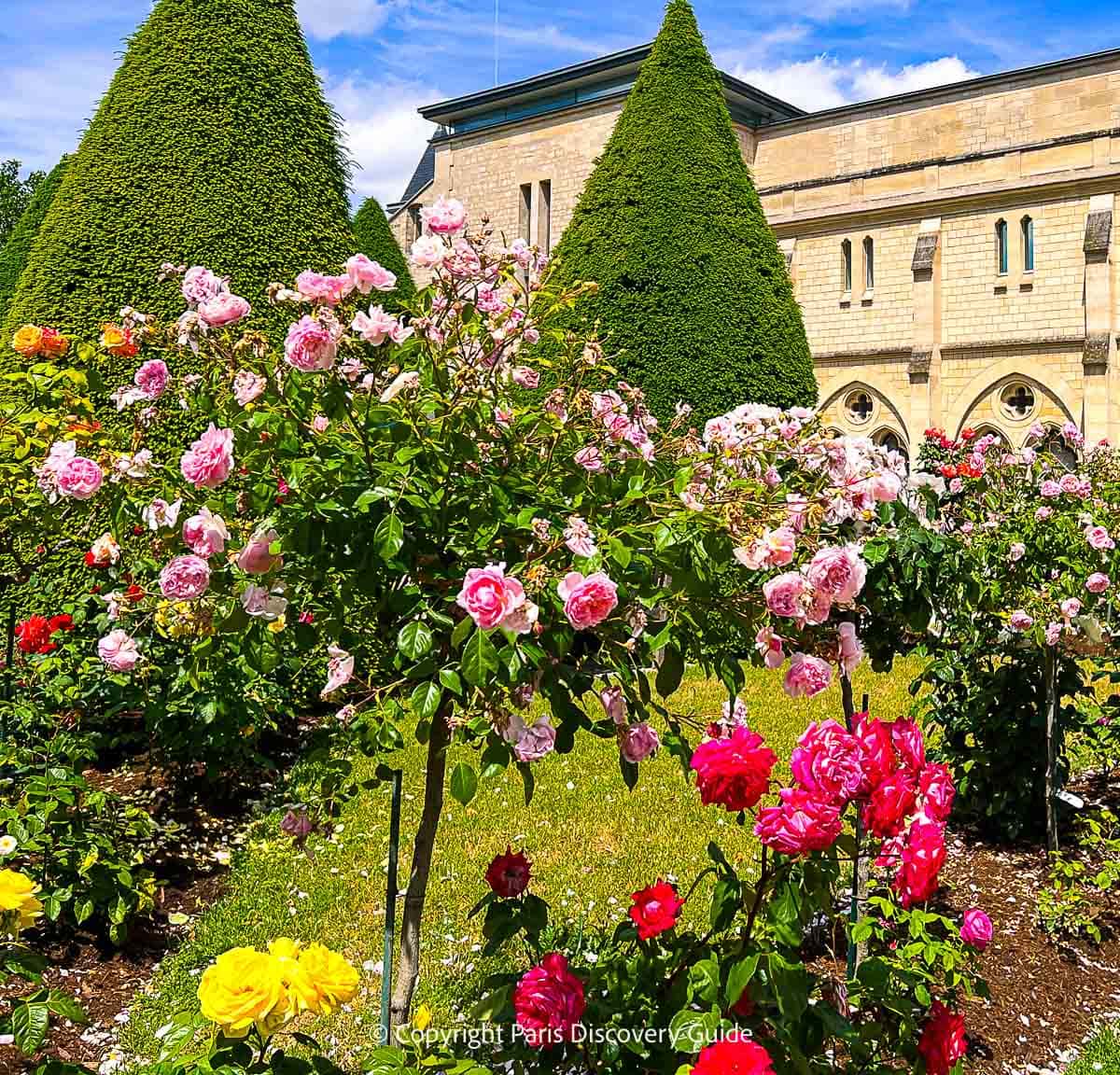 Rose garden at the Rodin Museum Paris Rose garden at the Rodin Museum Paris