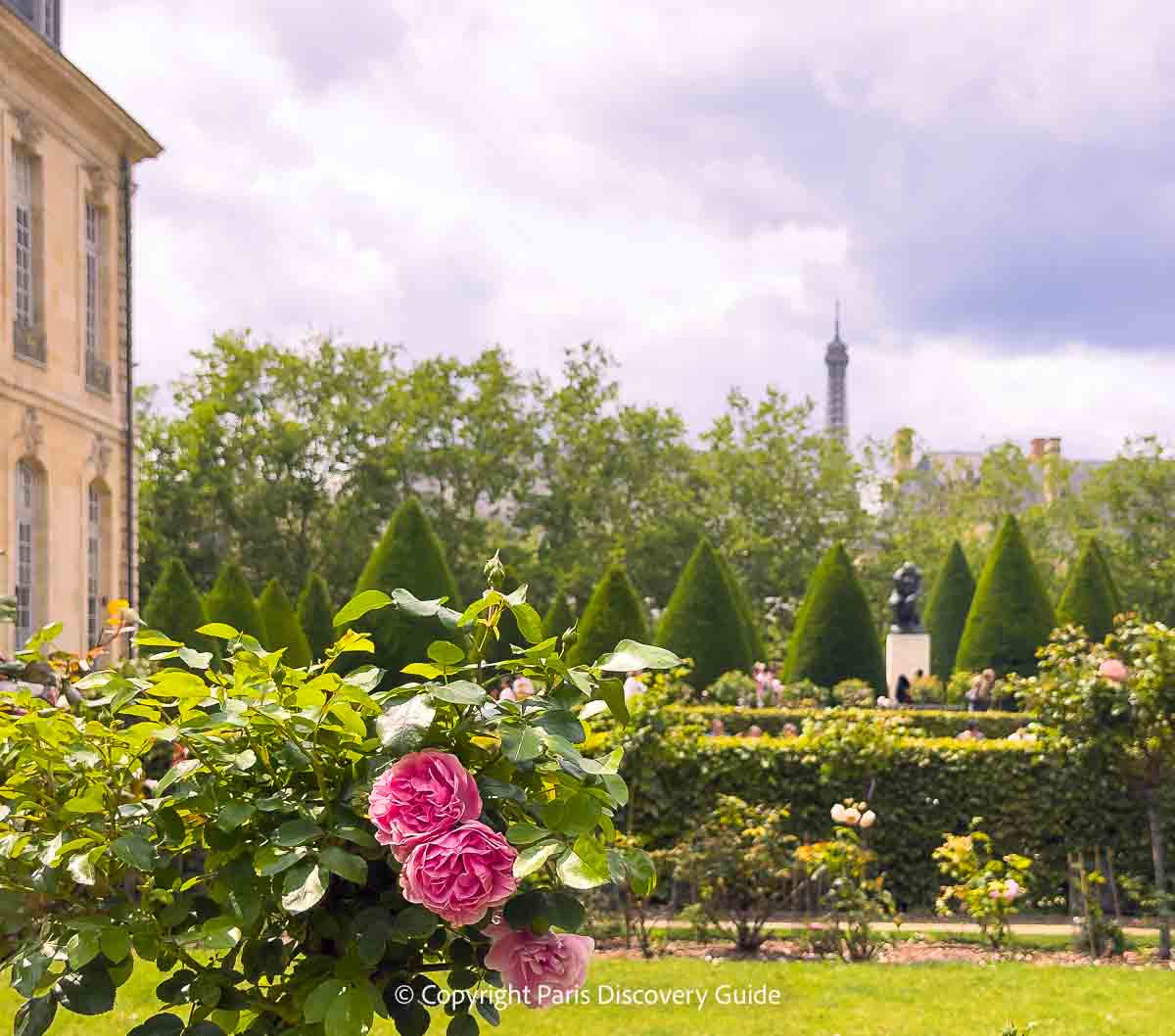 Pink Bourbon roses and views of the Eiffel Tower (see if you can also spot The Thinker) Pink Bourbon roses and views of the Eiffel Tower (see if you can also spot The Thinker)