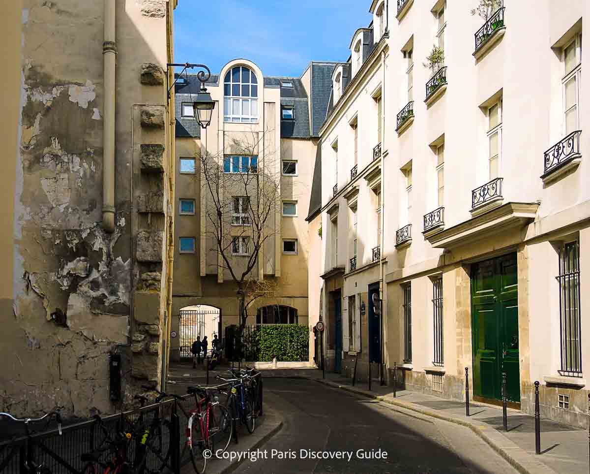 Pale pink climbing roses in Square Saint-Gilles in the Marais Pale pink climbing roses in Square Saint-Gilles in the Marais