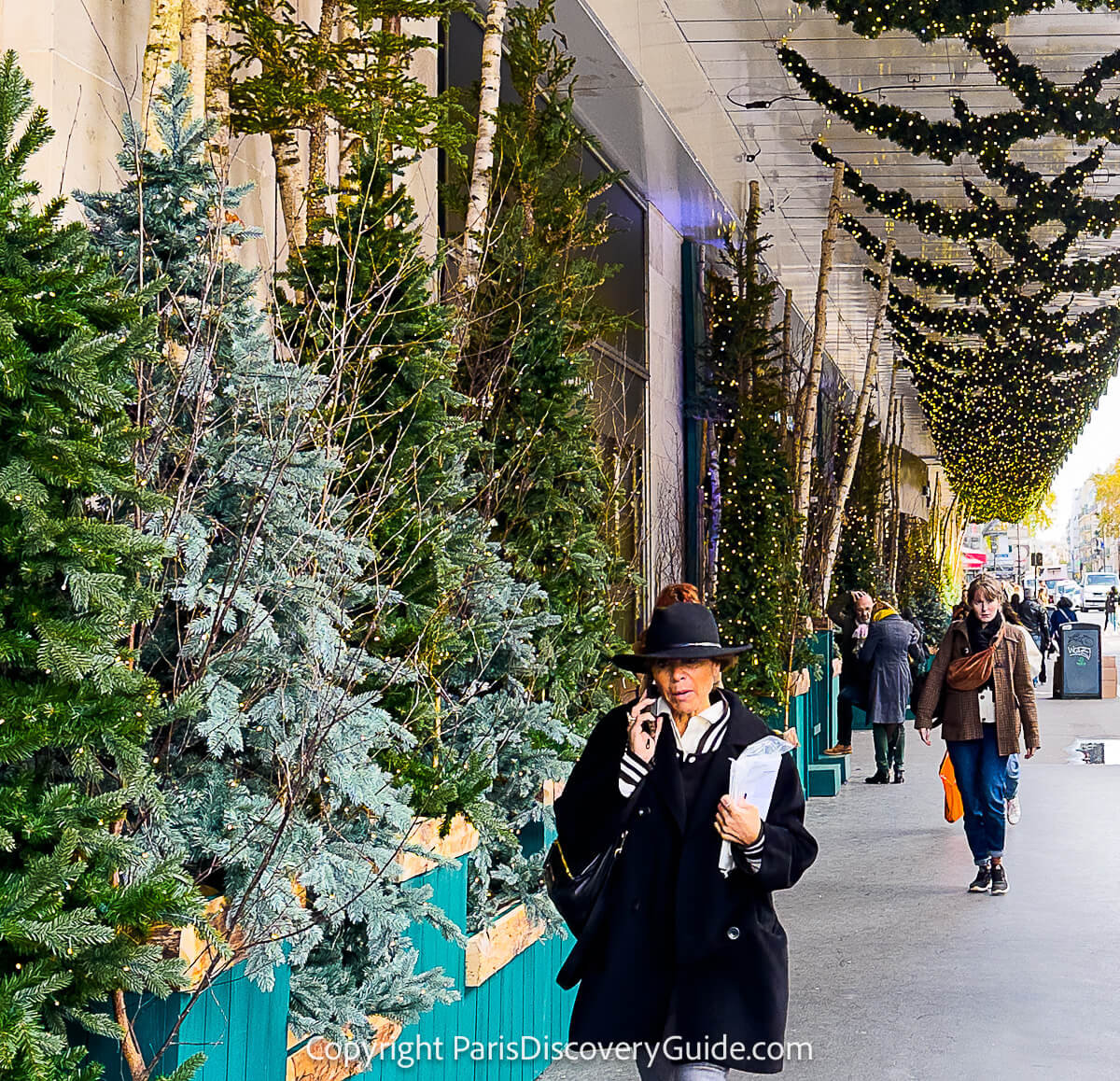 Forests of sparkling evergreens and birch trees frame BHV's Christmas windows