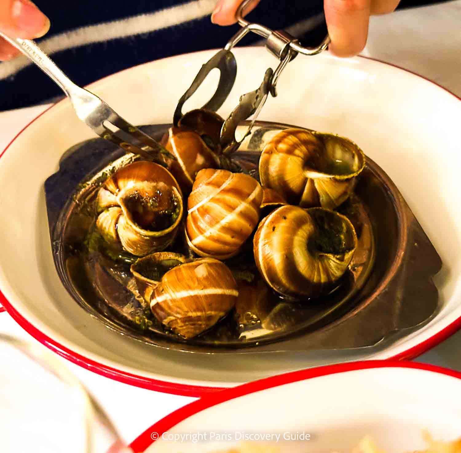 Escargot at Bouillon Republique 