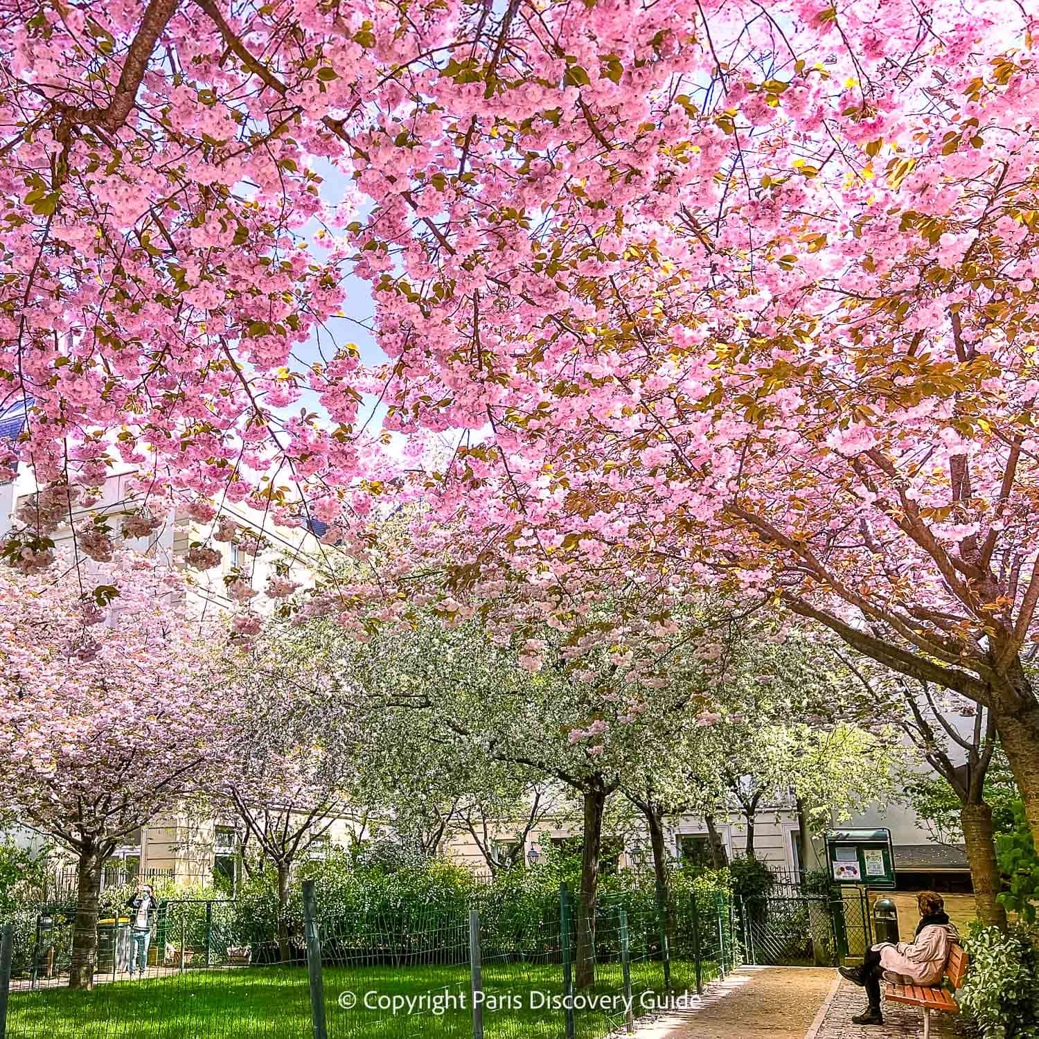 Upper Marais in Paris's 3rd Arrondissement - Rue du Parc Royal Upper Marais in Paris's 3rd Arrondissement - Rue du Parc Royal