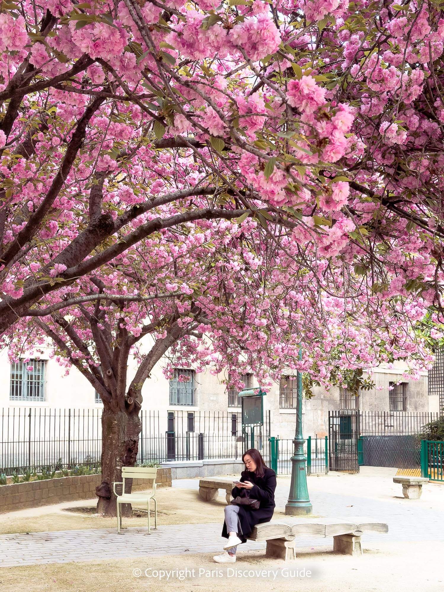 Les Deux Magots in late May