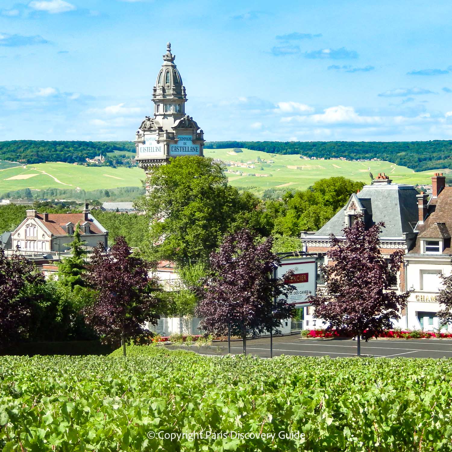 Grapevines at a vineyard in the village of Épernay, photographed during a day trip to this wonderful Champagne region near Paris