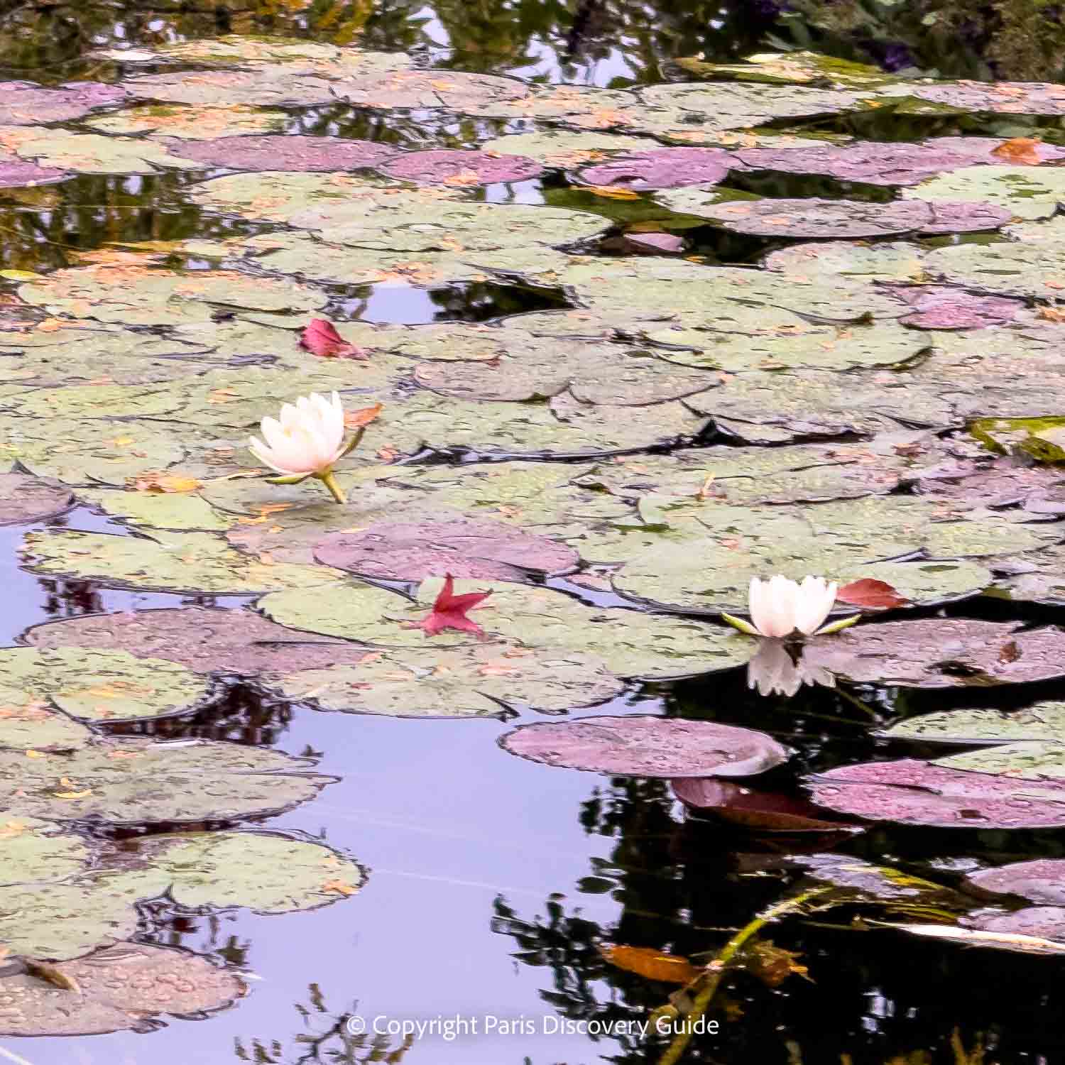 Early flying machine hanging from the ceiling in Museum of Arts and Crafts in Paris