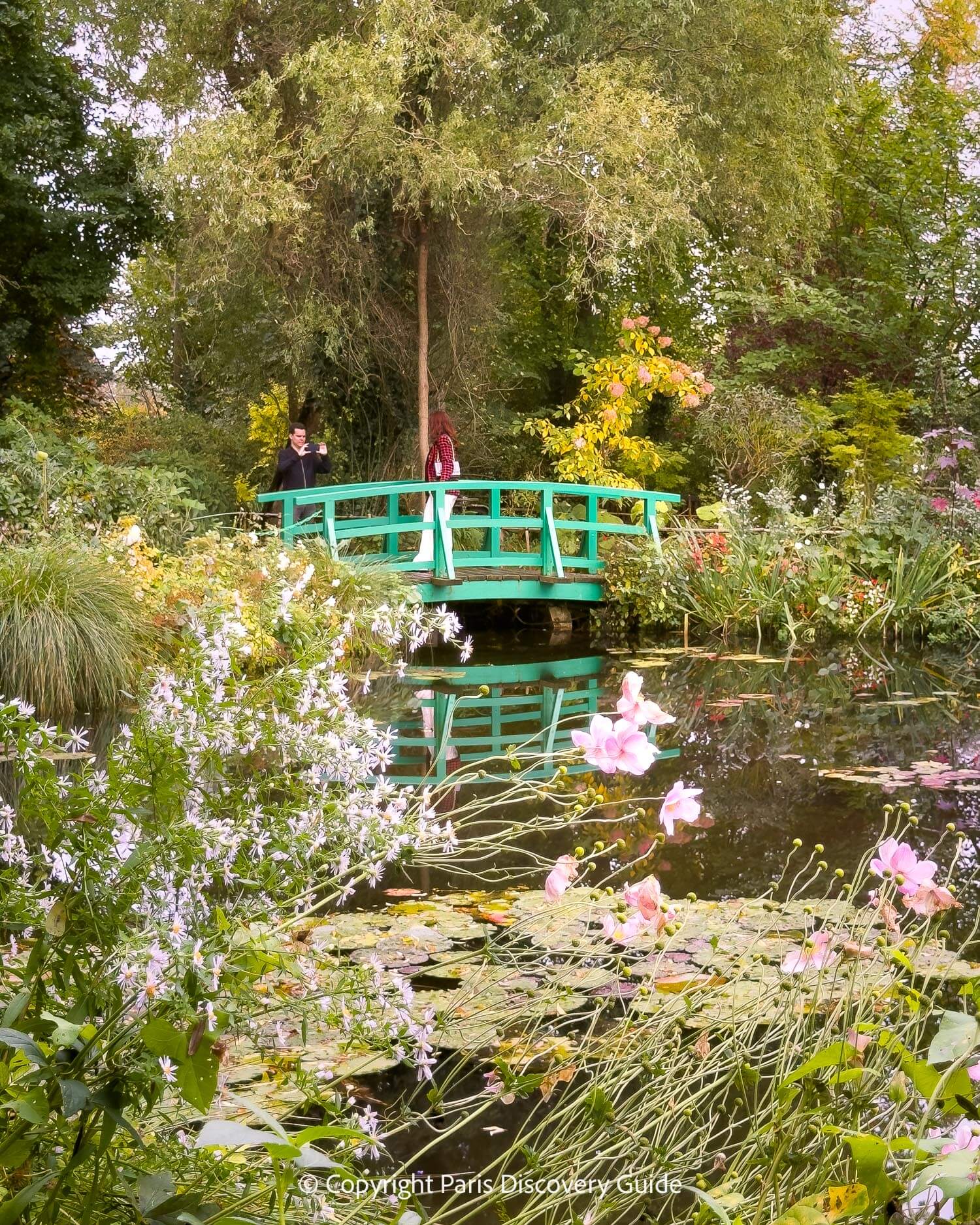 Fall asters and cosmos blooming around Monet's water lily pond in October