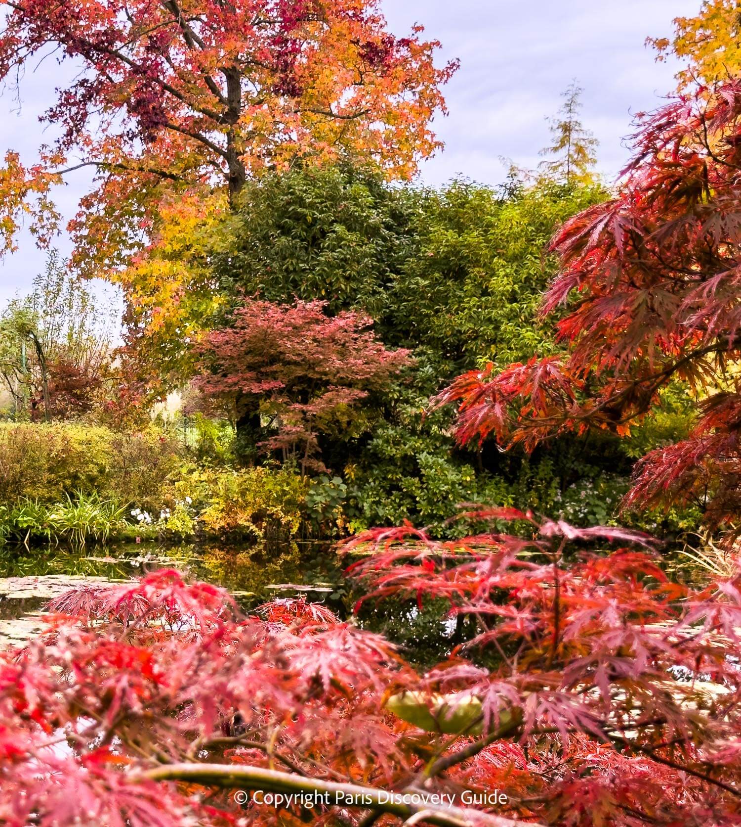 Monet's pond in Giverny in the fall