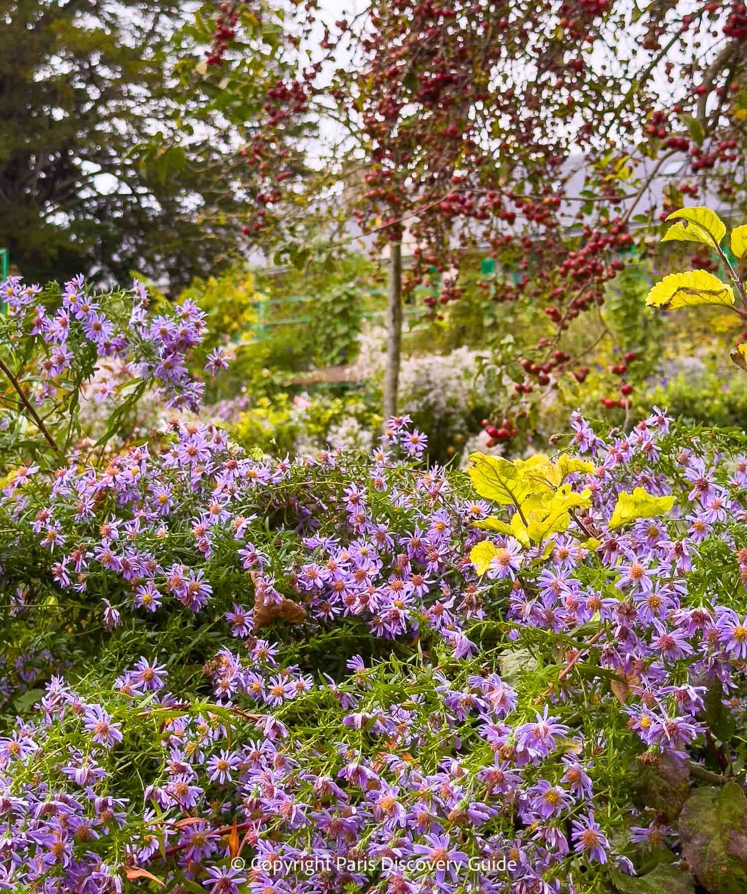 Late-blooming nasturtiums carpet the ground between masses of peonies and other flowers at Monet's pink and green Normandy farm house in Giverny
