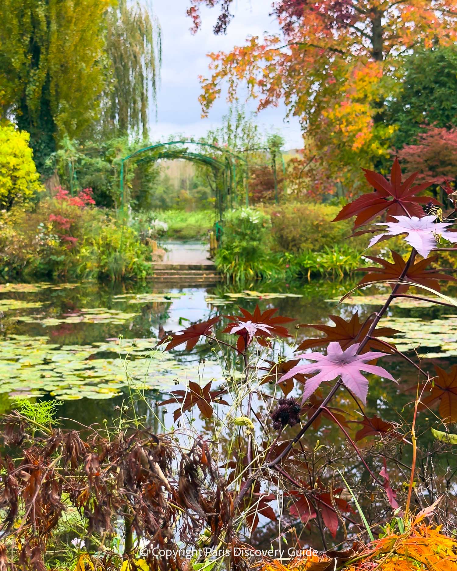 Monet's lily pond at Giverny in autumn