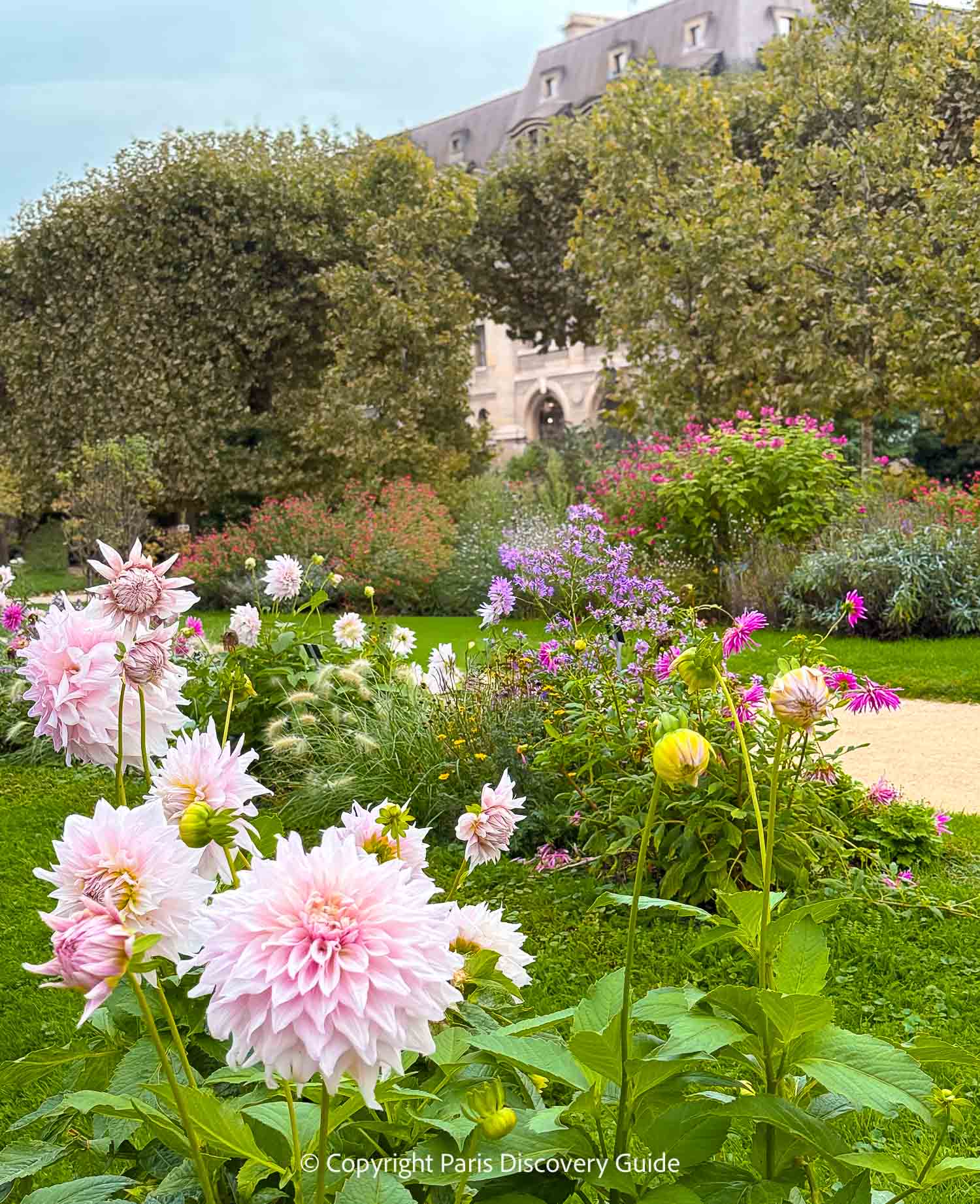 Yellow, orange, and crimson dahlias in Jardin des Plantes