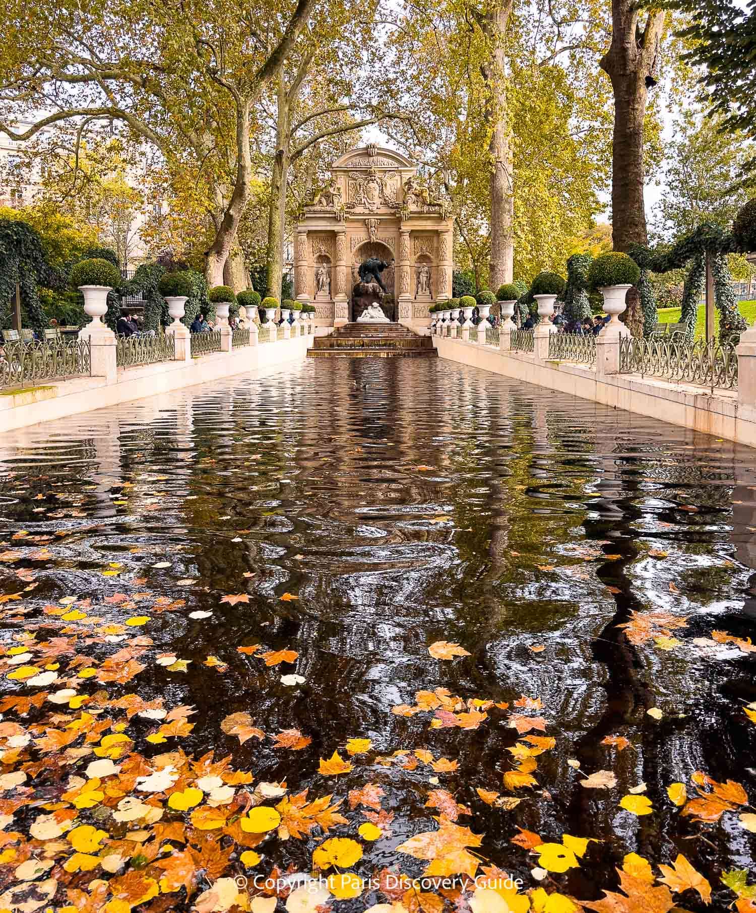Gold and amber leaves floating in the Medici Fountan in Jardin du Luxembourg in late October