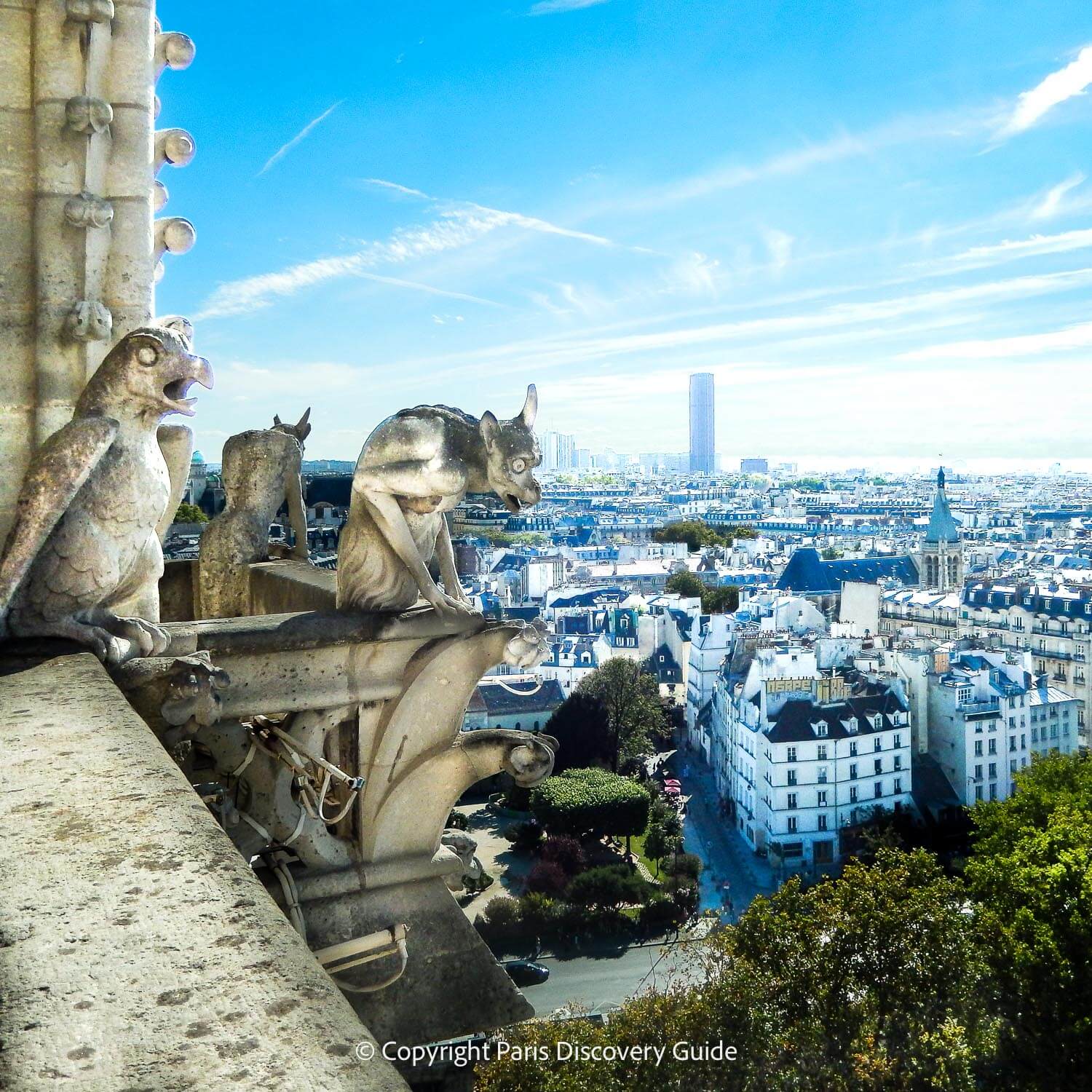 Chimeras perched on Notre Dame Cathedral's rooftop