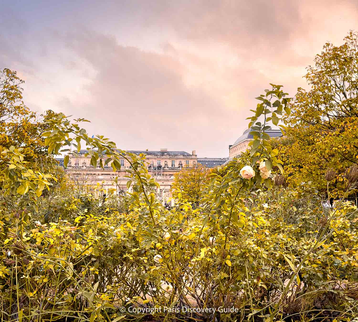Autumn hues in Palais Royal Garden at the end of October Autumn hues in Palais Royal Garden at the end of October