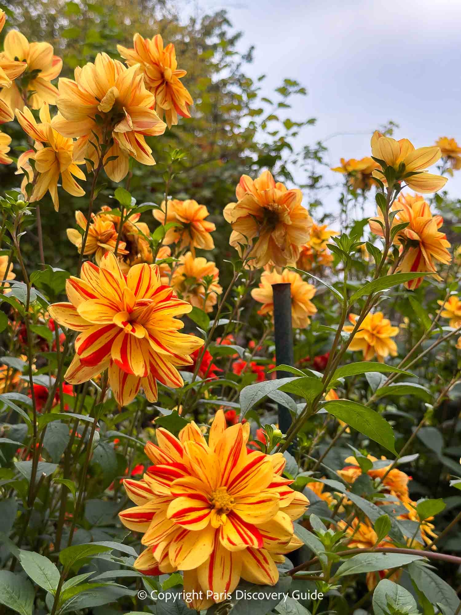 Early flying machine hanging from the ceiling in Museum of Arts and Crafts in Paris