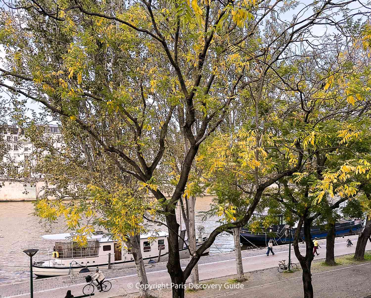 Golden fall foliage along the Seine River Golden fall foliage along the Seine River