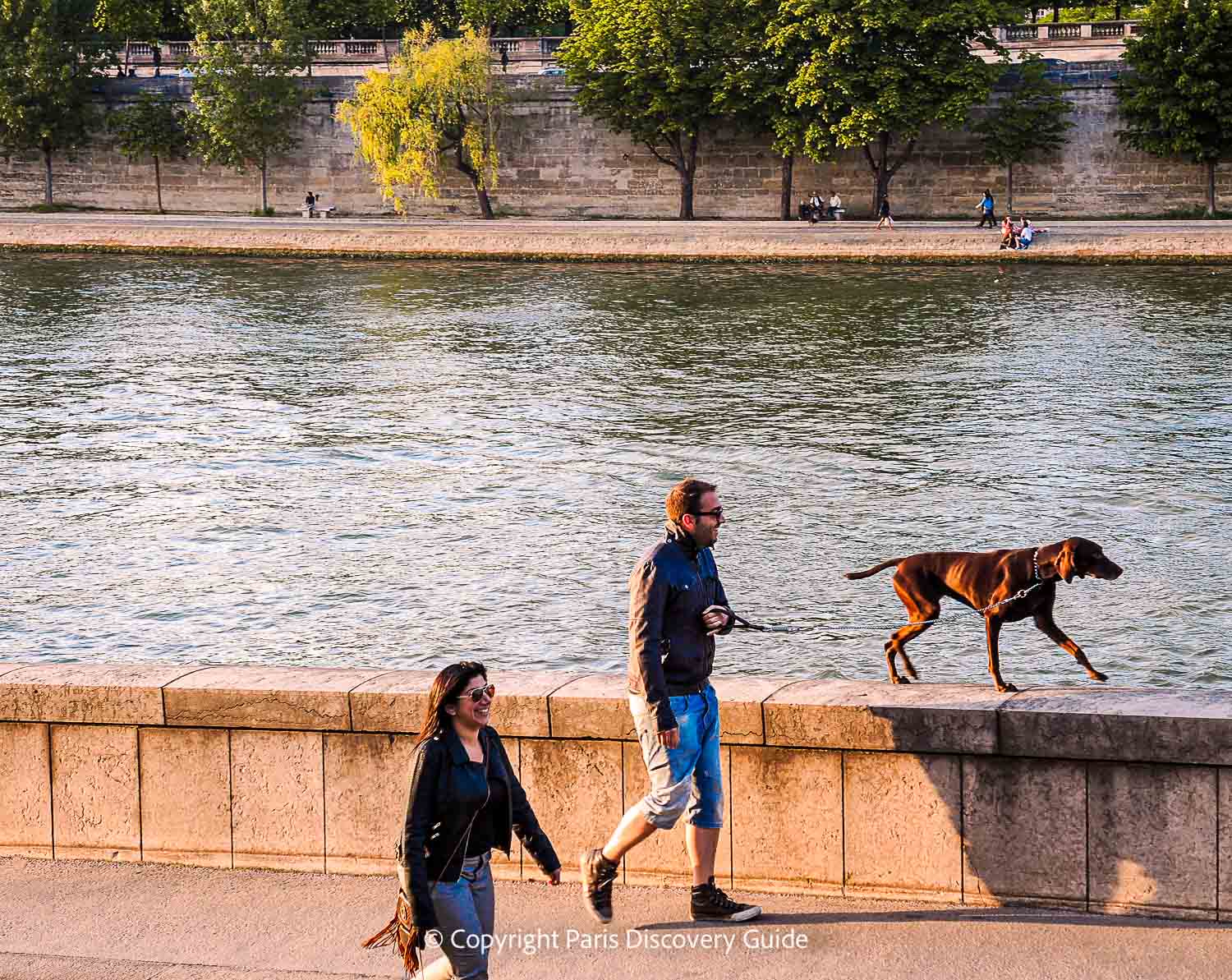 Walking along the Seine's Left Bank
