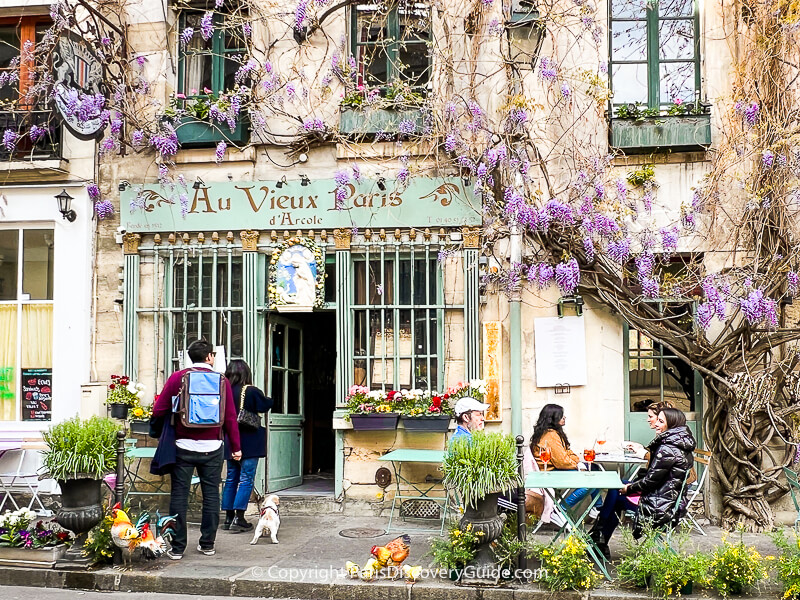 Wisteria blooming in April at Au Vieux Paris, a traditional bistro near Notre Dame