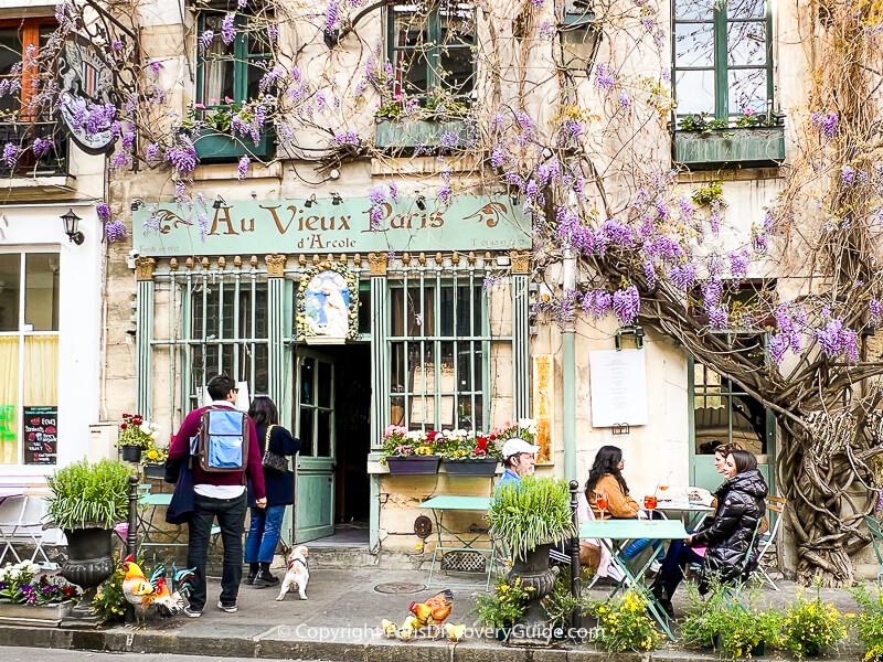 Wisteria blooming in April at Au Vieux Paris, a traditional bistro near Notre Dame Wisteria blooming in April at Au Vieux Paris, a traditional bistro near Notre Dame