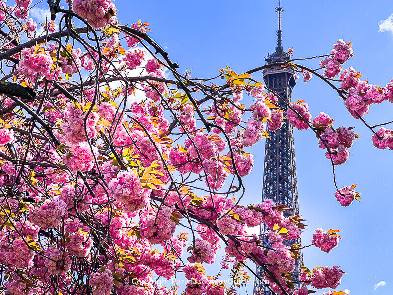 Best Things to Do in Paris in April Paris Discovery Guide