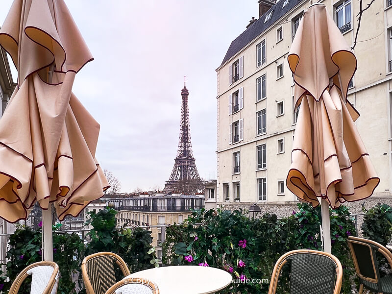 Eiffel Tower view from Palais de Tokyo street-side tables on a gray day in January - but note the blooming flowers!