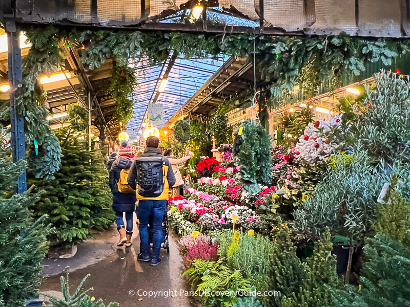 Flower market on Île de la Cité Flower market on Île de la Cité