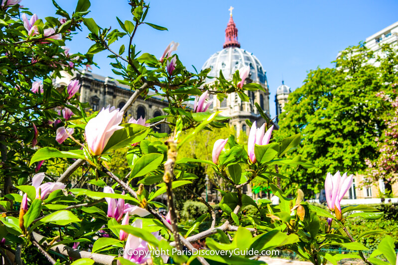 Top Paris events in April include the arrival of spring as magnolias bloom in front of Eglise Saint-Augustin Top Paris events in April include the arrival of spring as magnolias bloom in front of Eglise Saint-Augustin