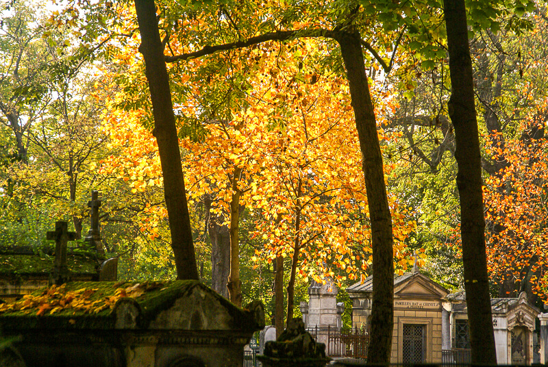 Pere Lachaise Cemetery in autumn - Photo credit: David Baron