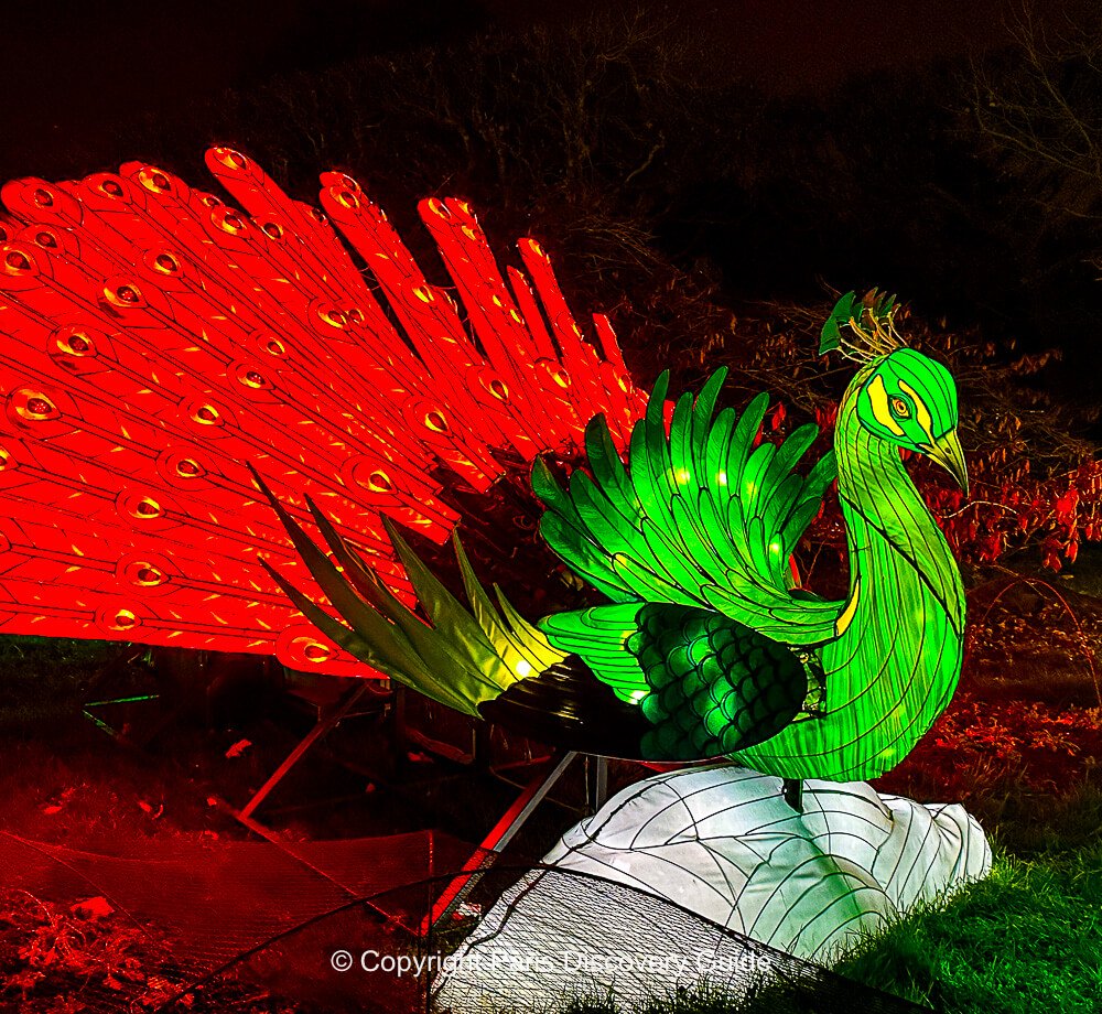 Walking through a tropical rainforest during the Festival of Lights at Paris's Botanical Garden