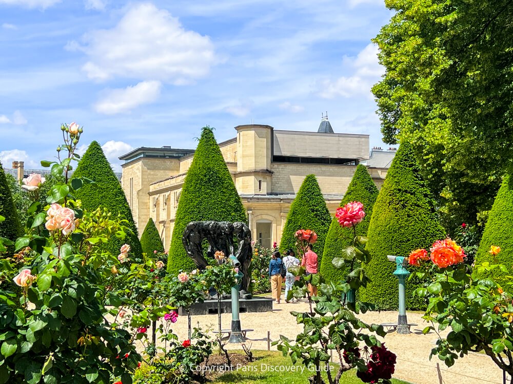 Roses in bloom in Musee Rodin Garden in May