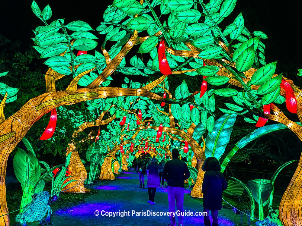 Walking through a tropical rainforest during the Festival of Lights at Paris's Botanical Garden