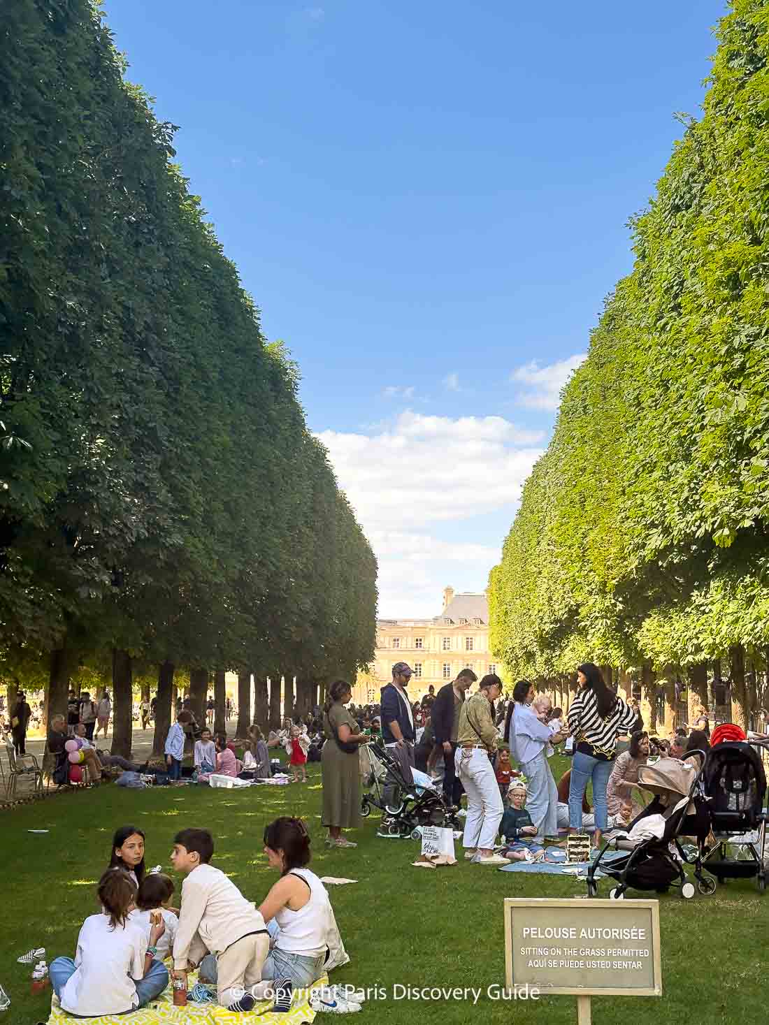 Fun things to do and see at the Paris Throne Fair Fun things to do and see at the Paris Throne Fair