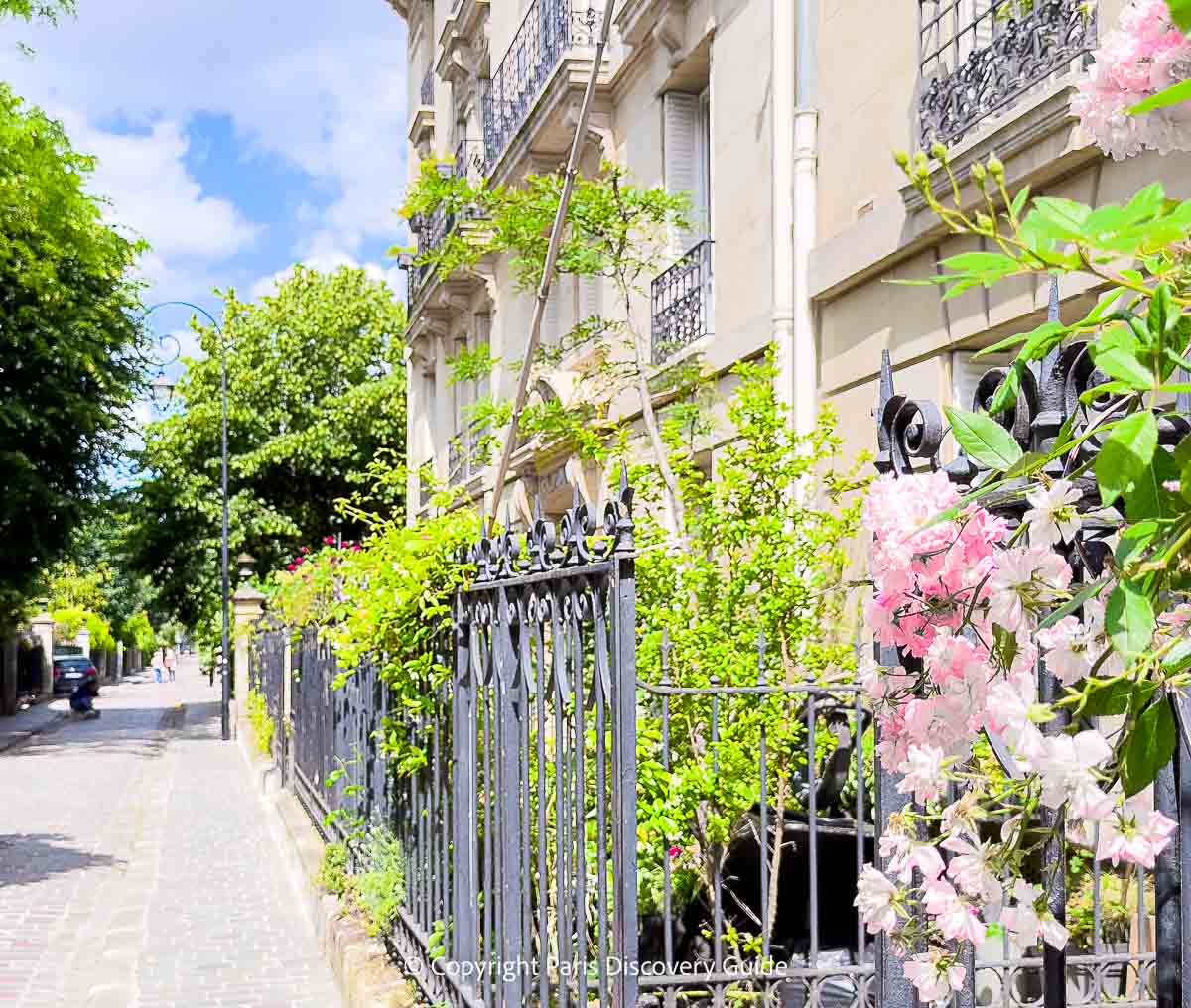 Pale pink shrub roses peak through a wrought iron fence along Cité des Fleurs