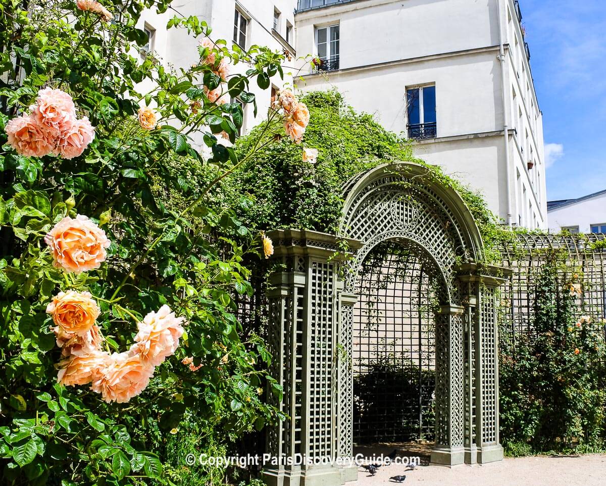 A hidden garden in Paris