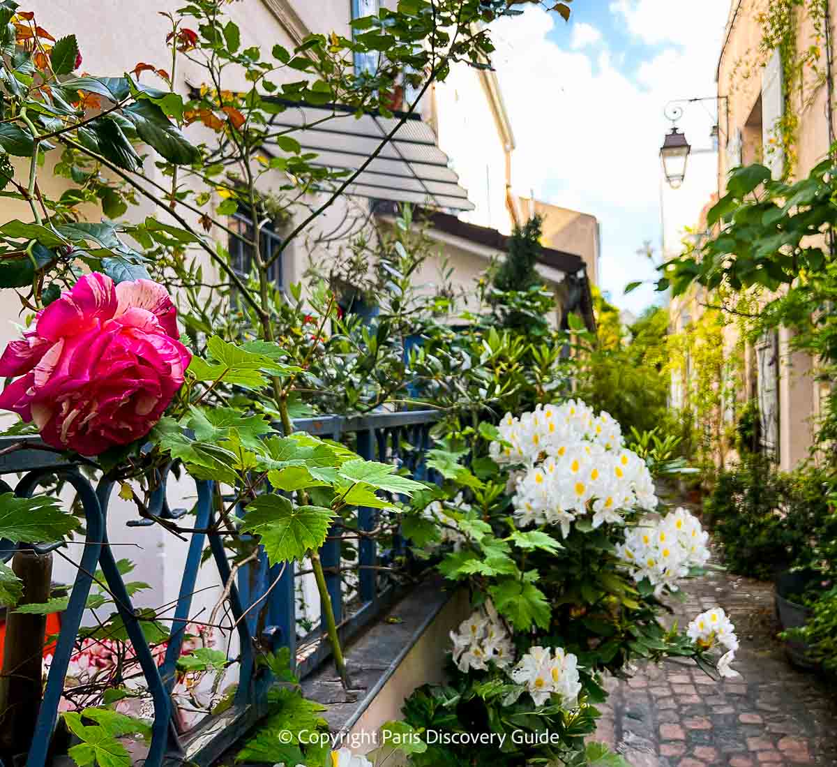 Roses along Impasse Poule in the Charonne neighborhood