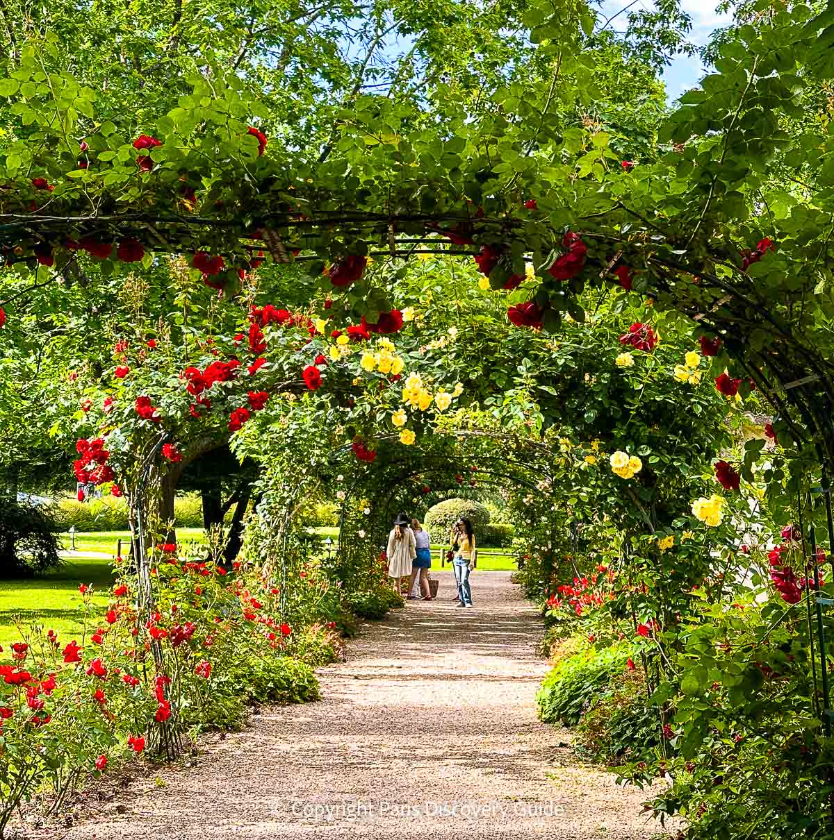 A rose arbor on the grounds of the Waldorf Astorial Versailles