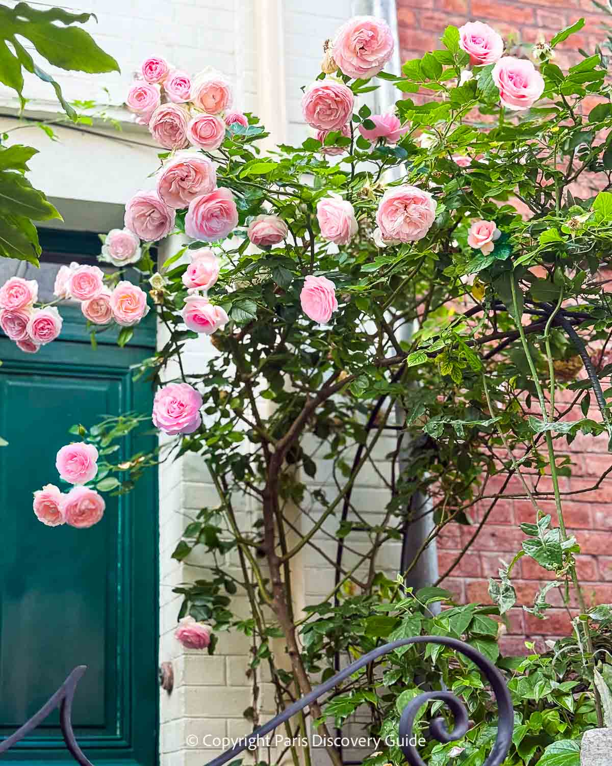 Early flying machine hanging from the ceiling in Museum of Arts and Crafts in Paris