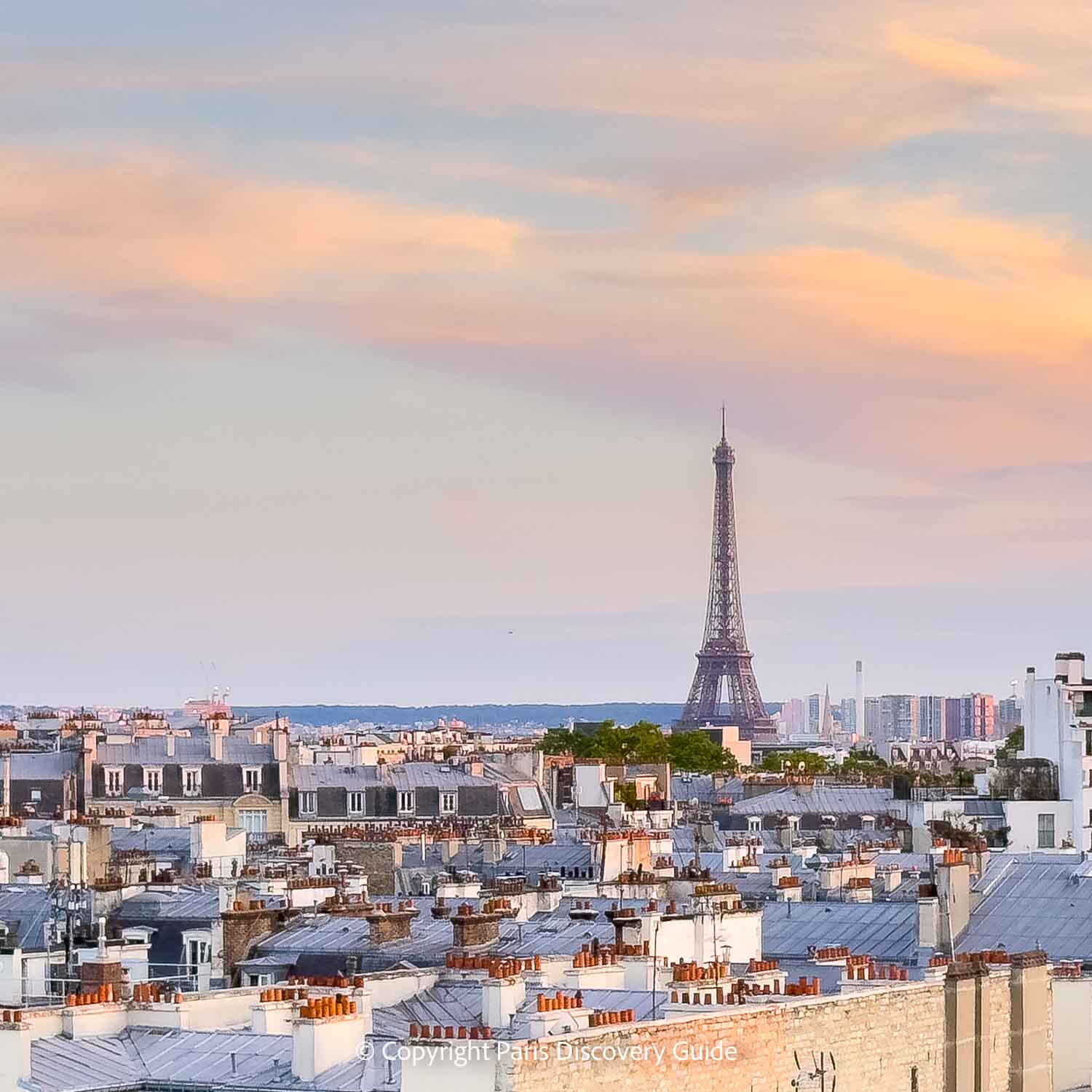 View of the Eiffel Tower from La Fondation's rooftop