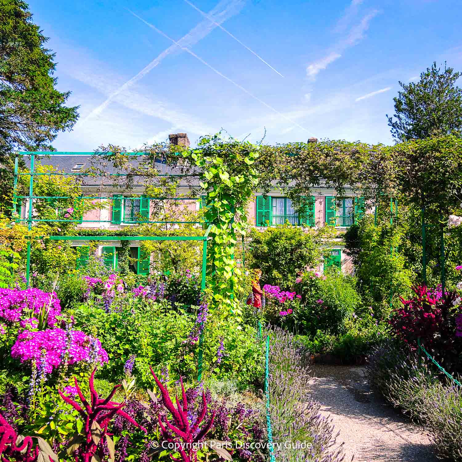 Water lilies blooming in Monet's Japanese garden pond at Giverny