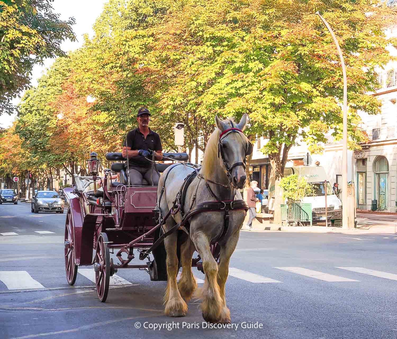 Horse and carriage going down Avenue Montagne near Suites & Hotel Helzear Etoile Horse and carriage going down Avenue Montagne near Suites & Hotel Helzear Etoile
