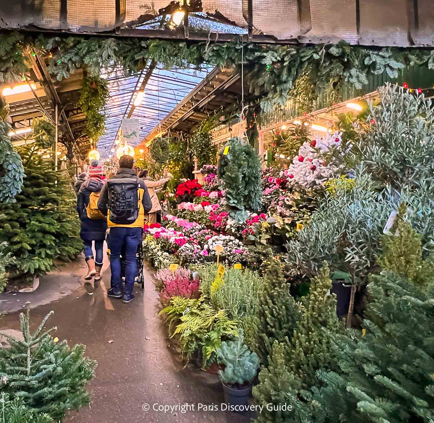 Marché des Fleurs in December Marché des Fleurs in December