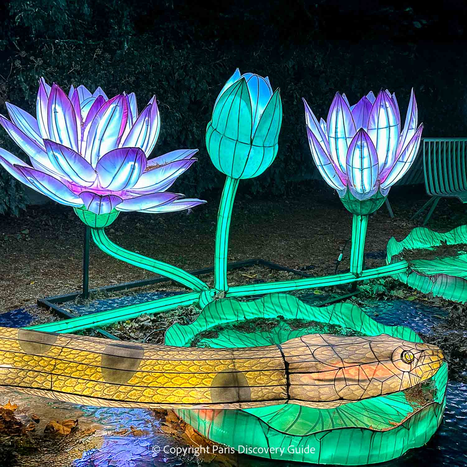 Water Lilies and Snake at Jardin des Plantes' Festival of Lights  Water Lilies and Snake at Jardin des Plantes' Festival of Lights