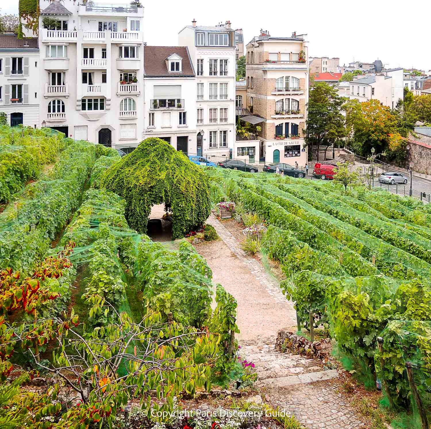 Marchers in the huge Grape Harvest Festival parade in Montmartre - Photo credit: Paul Gueu