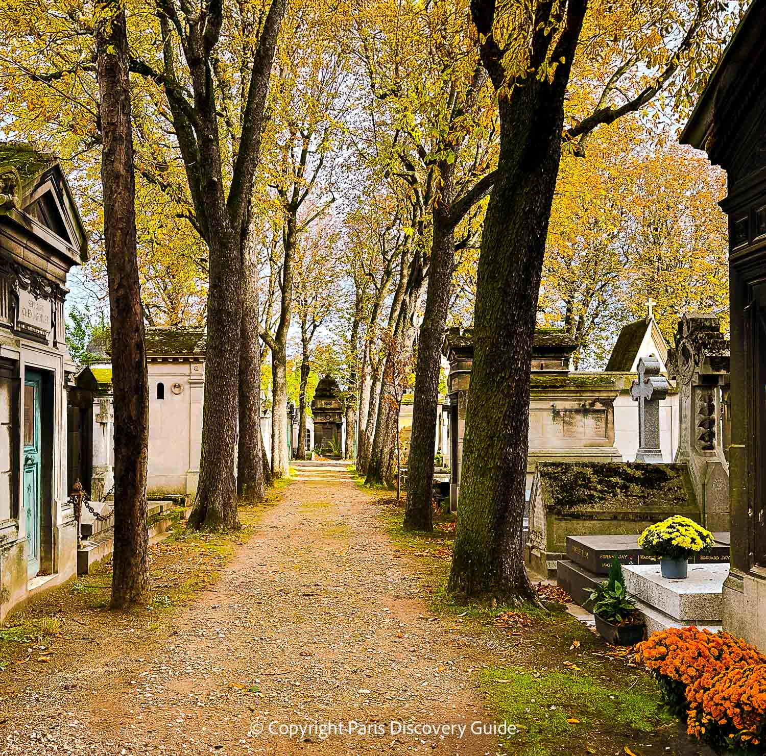 Autumn foliage and Toussaint flowers brighten a tree-lined path in Passy Cemetery