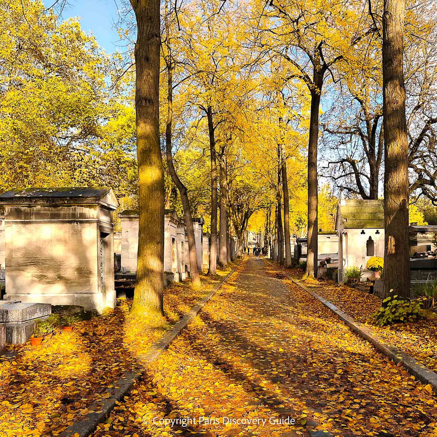 Golden fall foliage in Pere Lachaise Cemetery