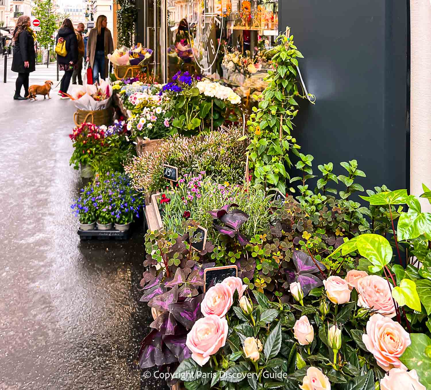 Flowers in front of a florist shop shop on Rue des Martyrs near The Walled Off Hotel Flowers in front of a florist shop shop on Rue des Martyrs near The Walled Off Hotel