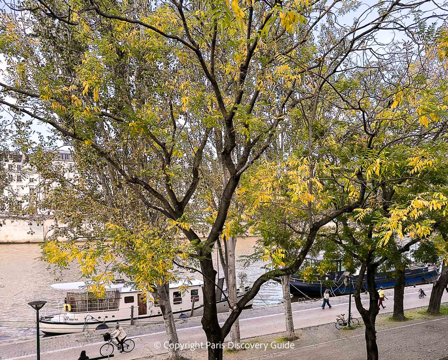 Golden fall foliage along the Seine River Golden fall foliage along the Seine River